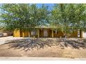 Charming single-story home with mature trees providing shade in the front yard at 3842 W Ocotillo Rd, Phoenix, AZ 85019