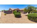 Manicured front yard featuring desert landscaping, mature trees, and a walkway to the entrance at 10521 W Donald Dr, Peoria, AZ 85383