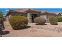 Charming single-story home featuring a well-maintained yard at 664 W Silver Reef Ct, Casa Grande, AZ 85122