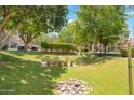 Well-maintained community grounds with lush green lawns, mature trees, and pathways at 2333 E Southern Ave # 2016, Tempe, AZ 85282