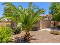 Charming single-story home featuring desert landscaping with a palm tree and mature bushes at 41280 W Sanders Way, Maricopa, AZ 85138