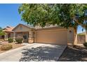 Inviting single-story home with a two-car garage and a tree shading the driveway at 41280 W Sanders Way, Maricopa, AZ 85138