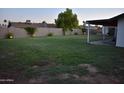 Expansive backyard with lush lawn, block fence and covered patio at 4755 E Gary St, Mesa, AZ 85205