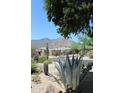 Scenic street view with lush desert landscaping, neighboring homes, and beautiful mountain views at 34464 N 68Th Way, Scottsdale, AZ 85266