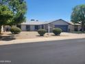 Single-story home featuring desert landscaping with a well-manicured front yard at 761 W Gail Dr, Chandler, AZ 85225