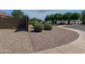 Manicured front yard featuring desert rock landscaping, mature foliage, and a partial view of the street at 42087 W Manderas Ln, Maricopa, AZ 85138