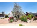 Charming home featuring desert landscaping, mature trees, flowering bushes, and white exterior at 1441 E Hubbell St, Phoenix, AZ 85006