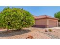 Mature tree provides shade in this desert landscape in front of this well-maintained home at 15980 W Quail Creek Ln, Surprise, AZ 85374