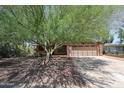 Well-kept property with a large tree in the front yard offering plenty of shade and character at 1844 W Virginia Ave, Phoenix, AZ 85007