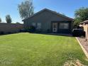 Large backyard with lush green grass, providing ample space for outdoor activities and relaxation at 29954 N Broken Shale Dr, San Tan Valley, AZ 85143
