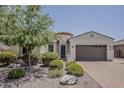Lovely single-story home featuring a well-maintained front yard and private gated entrance at 4135 E Grand Canyon Dr, Chandler, AZ 85249
