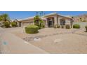 Beige single-story home with manicured desert landscaping at 2550 E Amberwood Dr, Phoenix, AZ 85048