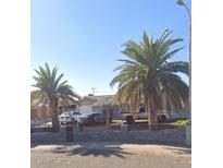 Charming home featuring a distinctive tiki hut carport and mature palm trees lining the property at 5007 W Weldon Ave, Phoenix, AZ 85031