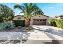 Single-story home with a two-car garage and desert landscaping at 29110 N 129Th Ave, Peoria, AZ 85383