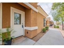 Welcoming front entrance with secure white door, decorative glass and potted plant adding a touch of nature at 854 S San Marcos Bldg 1 -- # D, Apache Junction, AZ 85120