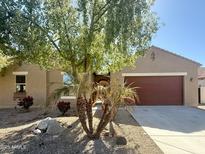 Single-story home featuring a desert-style front yard and an attached two-car garage at 16205 W Berkeley Rd, Goodyear, AZ 85395