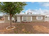 Inviting single-story home with desert landscaping, green tree, and charming curb appeal at 244 N Hawes Rd, Mesa, AZ 85207