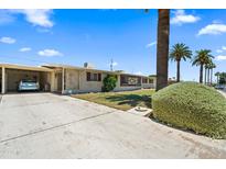 Charming single-story home features a covered carport, landscaped front yard, and mature palm trees at 11038 W Windsor Dr, Sun City, AZ 85351