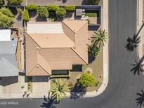 An aerial view of a single-Gathering home showcases a tile roof, manicured backyard with a hot tub, and lush landscaping at 4019 E Calypso Ave, Mesa, AZ 85206