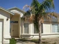 One-story house with light-colored exterior and palm tree at 8464 W Royal Blackheath Dr, Arizona City, AZ 85123