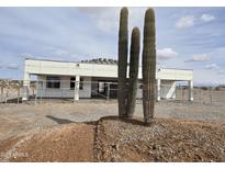 New construction home featuring a white exterior, large cacti, and the initial stages of roofing at 1907 W Brooke Ln, Queen Creek, AZ 85144