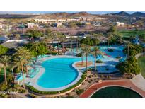 Aerial view of the community pool with palm trees, lounge chairs, and a desert mountain backdrop at 8828 S 167Th Ln, Goodyear, AZ 85338