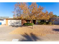 Brick ranch house with a large tree and gravel driveway at 5022 E Magic Stone Dr, Phoenix, AZ 85044