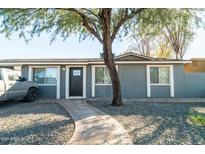 Cute ranch-style home with gray exterior, landscaping, and walkway at 819 E Erie St, Chandler, AZ 85225