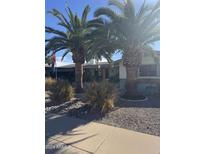 Ranch-style home with mature palm trees and well-maintained landscaping at 6255 E Ensenada St, Mesa, AZ 85205