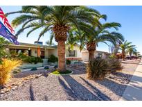 Ranch style home with mature palm trees and landscaped front yard at 6255 E Ensenada St, Mesa, AZ 85205