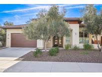 Single-story home with brown garage door and landscaped front yard at 13199 W Baker Dr, Peoria, AZ 85383