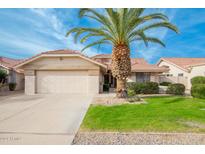 Single-story home with a two-car garage and a lush lawn at 19822 N Zion Dr, Sun City West, AZ 85375