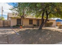 Tan brick house with mature tree and gravel landscaping at 451 N 110Th St, Mesa, AZ 85207