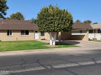 Single story home with carport and well-maintained landscaping at 9814 N Balboa Dr, Sun City, AZ 85351