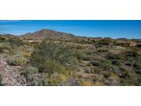 Aerial view of a luxury community nestled against scenic mountains at 42127 N Celebration Way, Anthem, AZ 85086