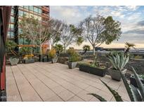 Shared patio with plants and city views at 4808 N 24Th St # 627, Phoenix, AZ 85016