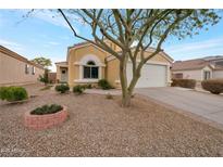 Attractive single-story home with a landscaped front yard and two-car garage at 23677 N Desert Dr, Florence, AZ 85132