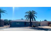 Single story home with gray exterior, landscaping, and palm trees in front at 4347 E Catalina Cir, Mesa, AZ 85206