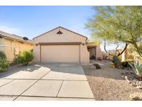 One-story house with tan exterior, two-car garage, and desert landscaping at 10725 E Second Water Trl, Gold Canyon, AZ 85118