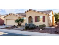 Tan house with red shutters, palm trees, and a paved walkway at 42593 W Falling Star Ct, Maricopa, AZ 85138