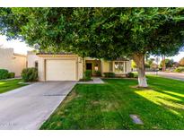 Single-story home with attached garage, well-manicured lawn, and mature shade tree at 19098 N 97Th Ln, Peoria, AZ 85382