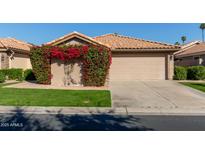 Tan house with bougainvillea, cacti and bird art at 19111 N 94Th Ave, Peoria, AZ 85382