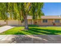 Brick ranch house with a large weeping willow tree and well-manicured lawn at 18202 N 99Th Dr, Sun City, AZ 85373