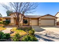 Single-story home with a landscaped front yard, two-car garage, and stone pathway at 3479 E Esplanade Ct, Gilbert, AZ 85297