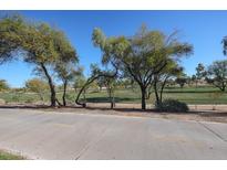 Scenic view of a lush green golf course from a paved path at 7800 E Lincoln Dr # 1029, Scottsdale, AZ 85250