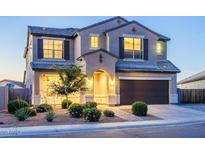 Two-story house with landscaped yard and a brown double garage door at 42206 W Capistrano Dr, Maricopa, AZ 85138