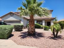 Two-story house with desert landscaping and a large palm tree in the front yard at 11432 E Quicksilver Ave, Mesa, AZ 85212