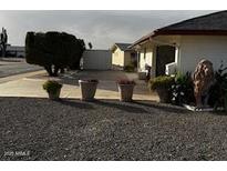 Landscaped side yard with decorative pots and lion statue at 5929 E Duncan St, Mesa, AZ 85205