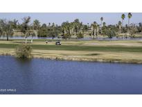 Scenic golf course view with lake and palm trees at 13658 W Sandridge Dr, Sun City West, AZ 85375