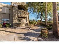 Exterior view of condo building showcasing landscaping and walkway at 5335 E Shea Blvd # 1115, Scottsdale, AZ 85254